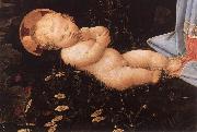 LIPPI, Filippino Portrait of an Old Man gs Spain oil painting artist